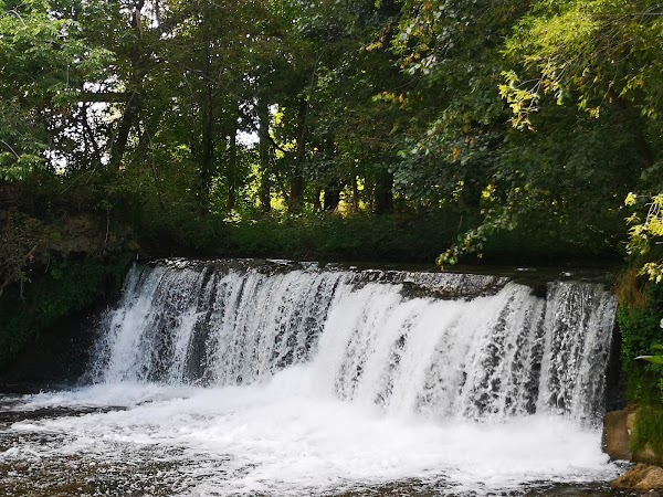 Lynn River Falls