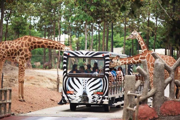 Chiang Mai Night Safari 3