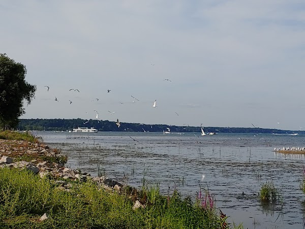Turkey Point