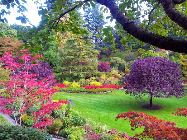 The Butchart Gardens 5