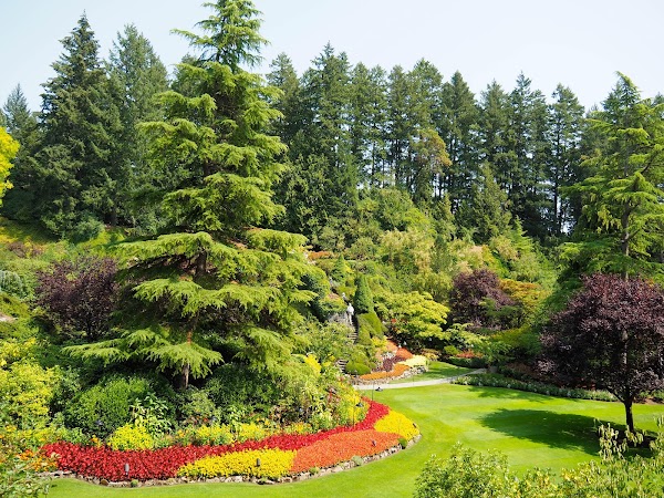 The Butchart Gardens 4