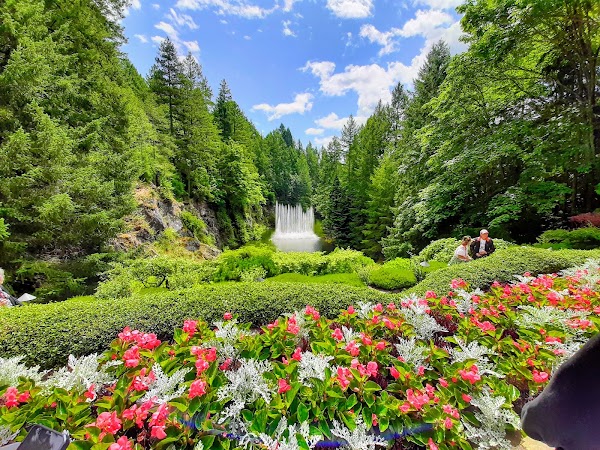 The Butchart Gardens 3