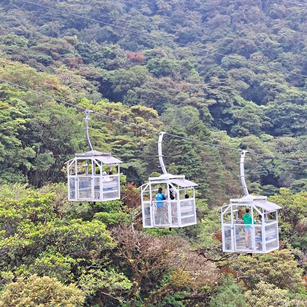 Treetopia Park 5