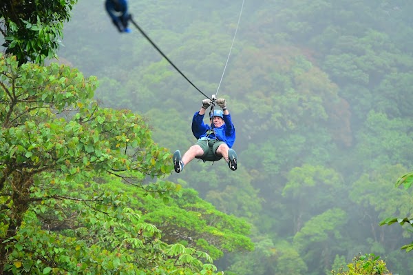 Treetopia Park 4