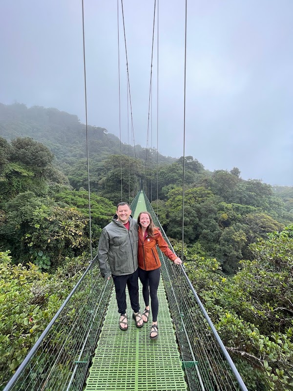 Treetopia Park 2