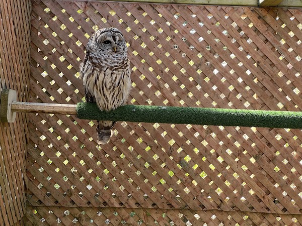Hope For Wildlife 3