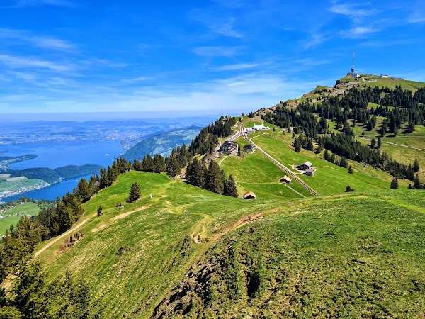 Rigi Rotstock
