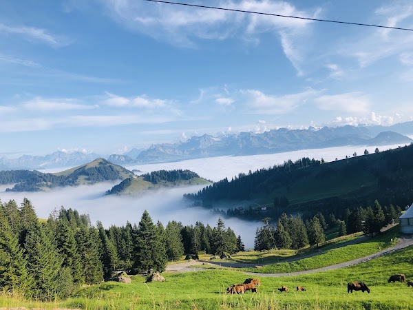 Rigi Rotstock 4