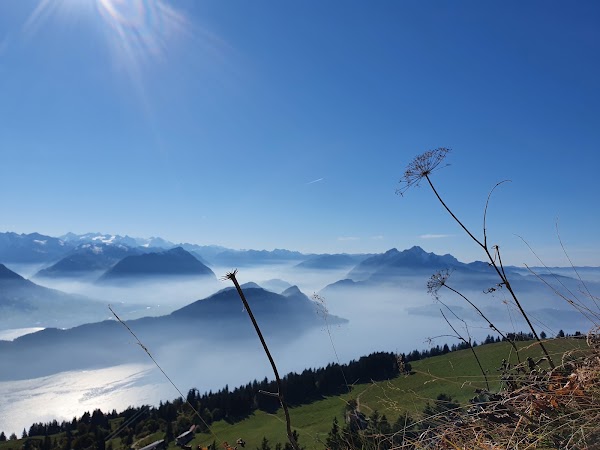 Rigi Rotstock 3