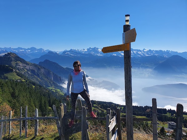 Rigi Rotstock 2