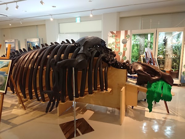 Sapporo City Museum Activity Center 1