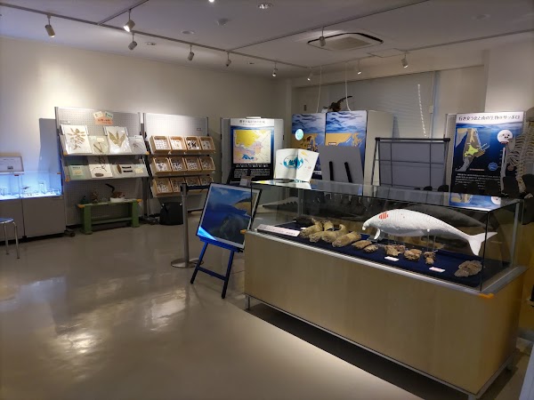 Sapporo City Museum Activity Center 2