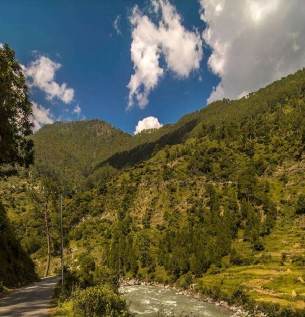 Binsar