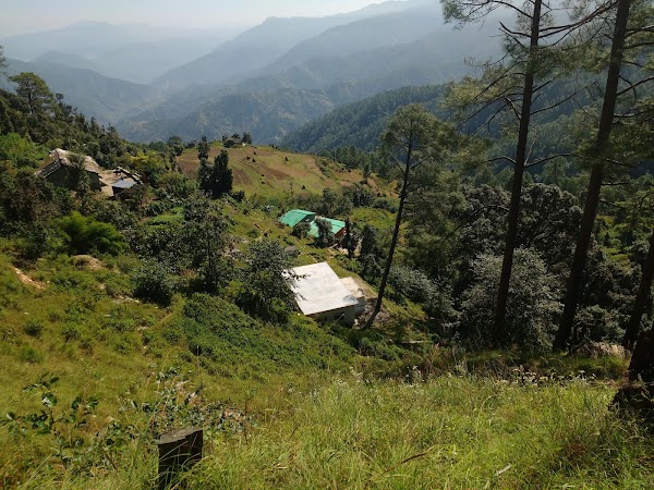 Binsar 5