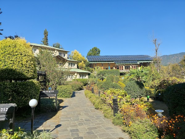 Binsar 4