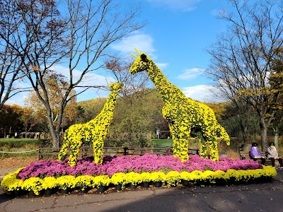 Daegu Arboretum