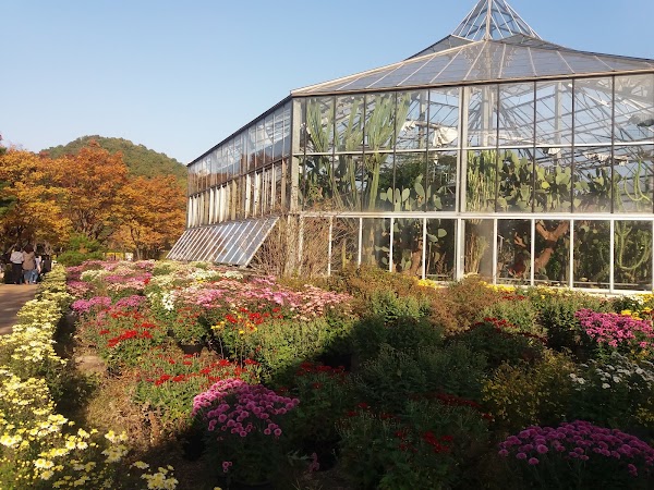 Daegu Arboretum 5