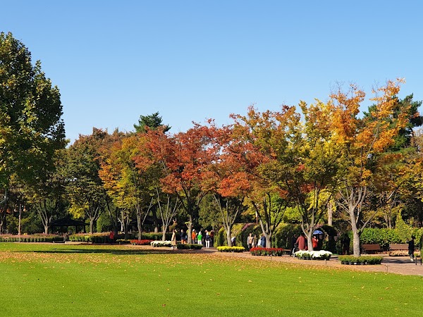 Daegu Arboretum 4