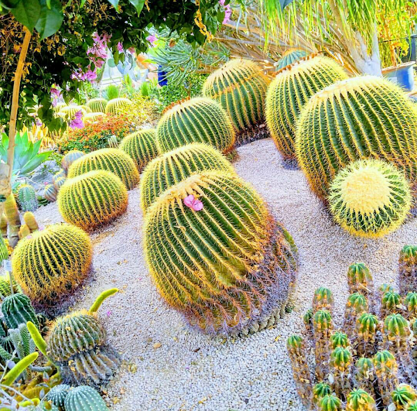 Daegu Arboretum 3
