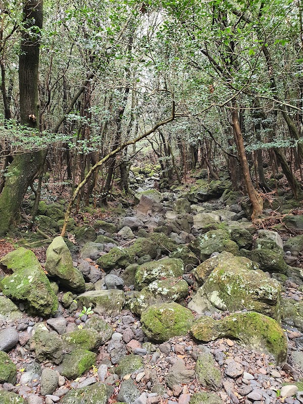 Daeheul-ri