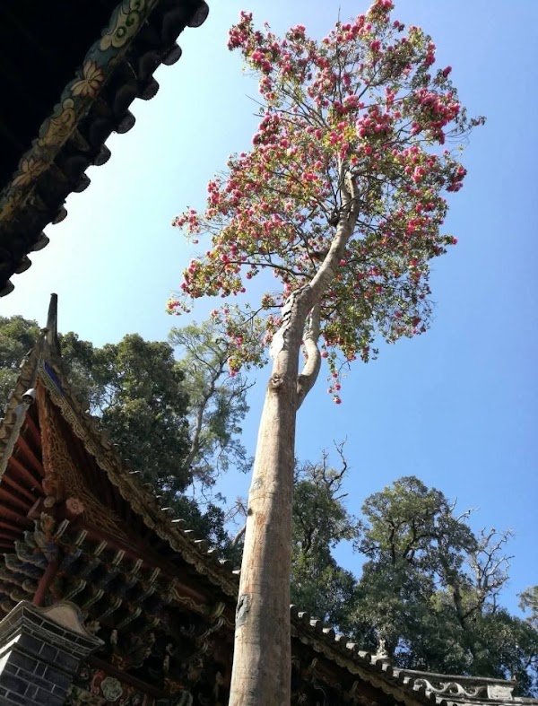 Weibao Mountain