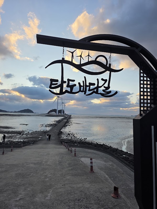 탄도항 4