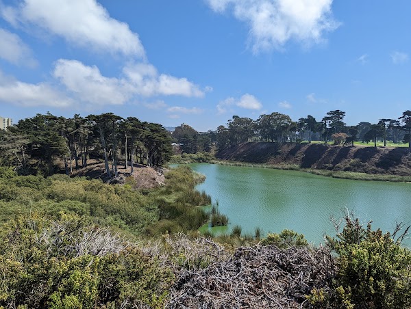 Lake Merced Park 1