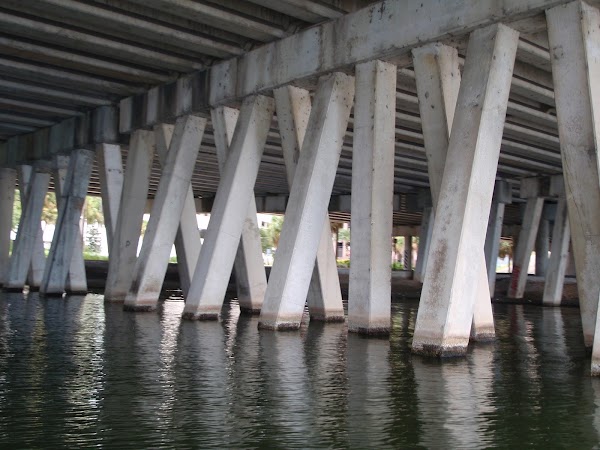Lake Ivanhoe 3