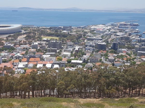 Green Point