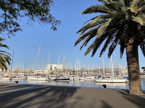 Port vell in Barcelona 5