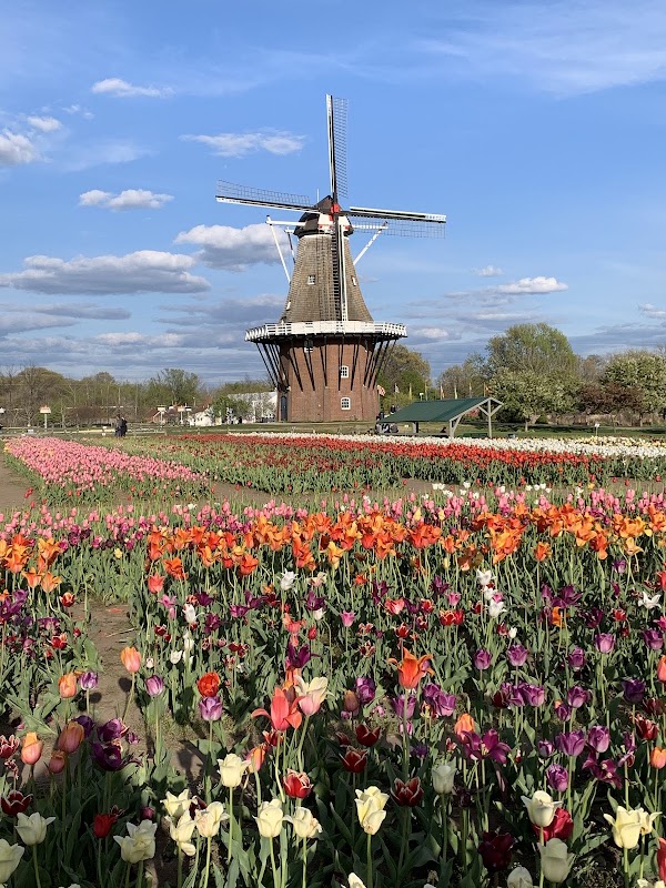 Windmill Island 1