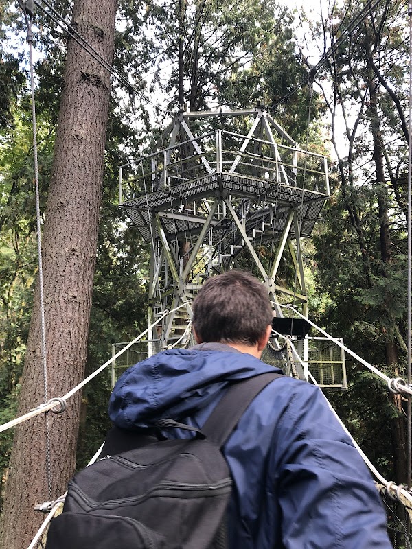 Greenheart TreeWalk