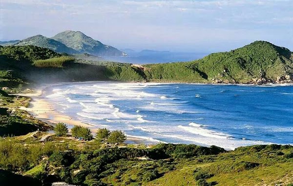 Praia do Rosa 5