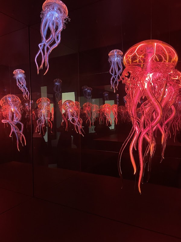 Swiss Science Center Technorama 3