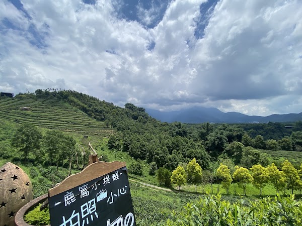 Lugao Cafe 5