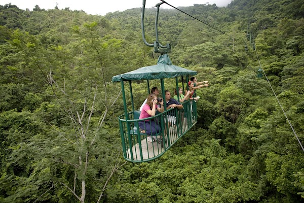 Rainforest Adventures Jaco