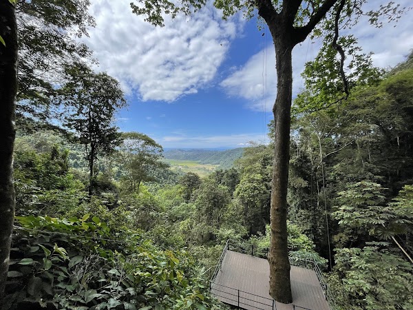 Rainforest Adventures Jaco 4