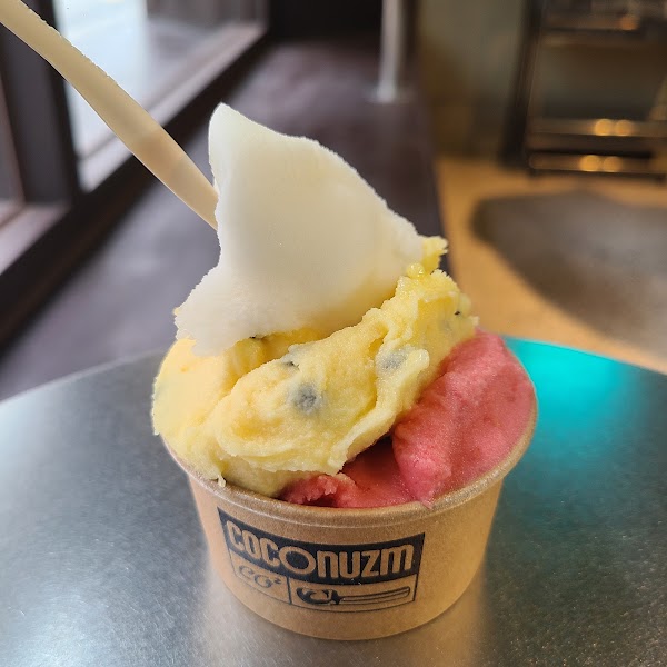 코코너즘 Coconuzm 3