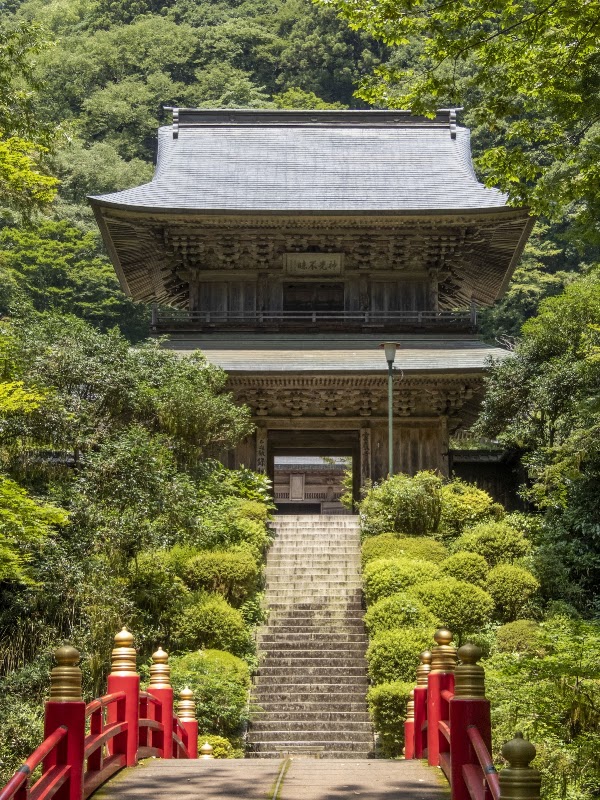 Unganji