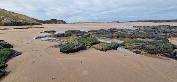 Tyninghame Beach 5