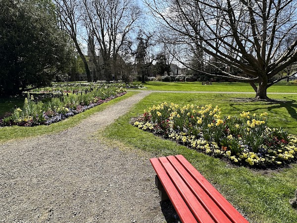 Stadtgarten 5