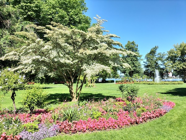 Stadtgarten 2