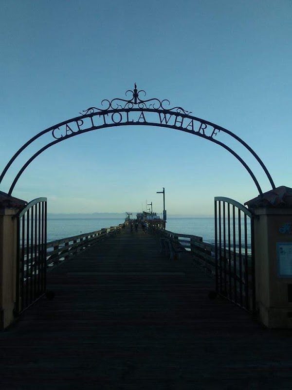 Esplanade 5