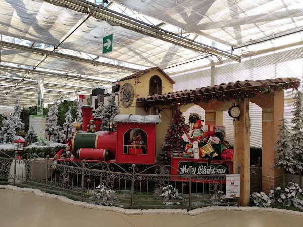 Nurseries Dalle Rive