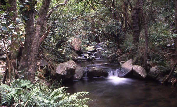 New zealand 79