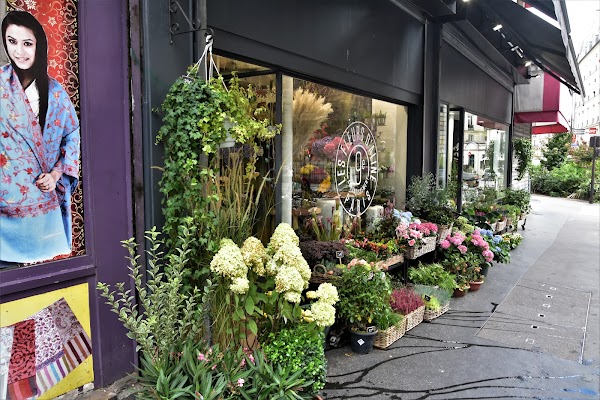 Les Fleurs d'Aline