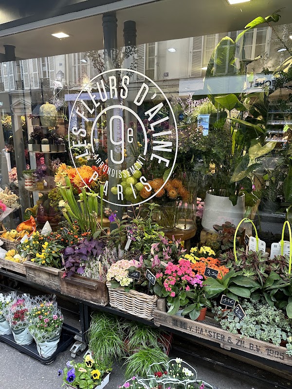 Les Fleurs d'Aline 4
