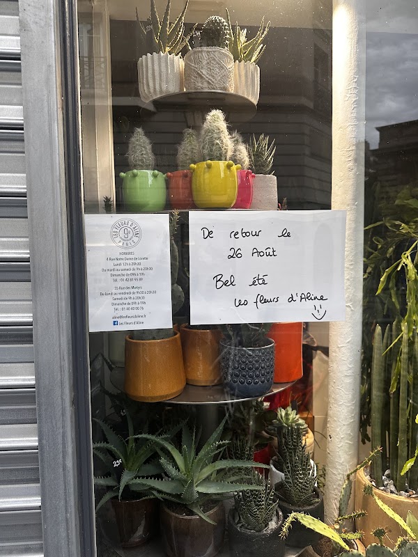 Les Fleurs d'Aline 2