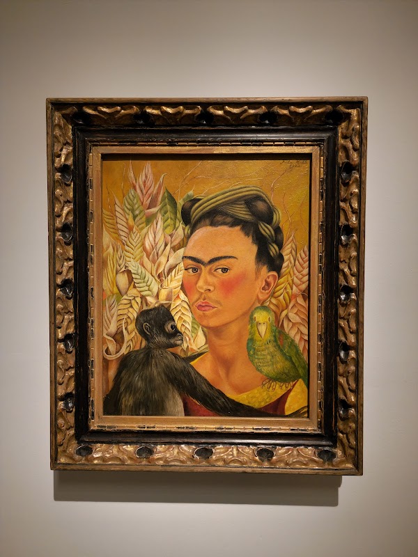 Museo de Arte Latinoamericano de Buenos Aires 5