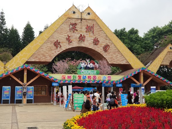 Shenzhen Safari Park 5